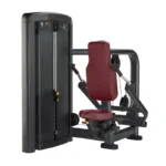 Tríceps Sentado ML809